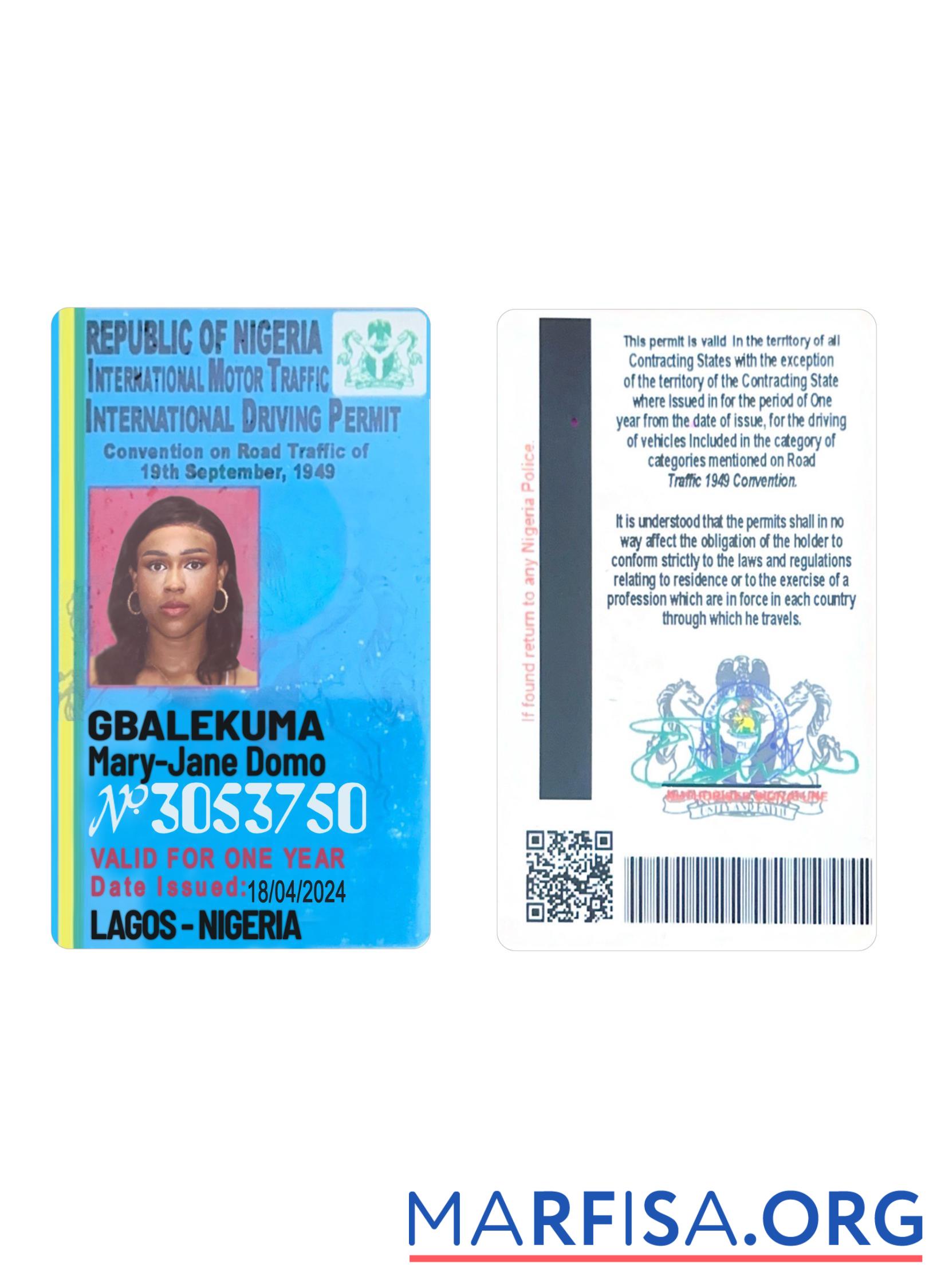 Downloadable Nigeria international driving license real example
